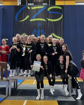 Mini - zlata medalja